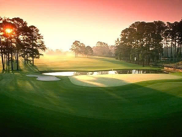 sân golf - phối cảnh